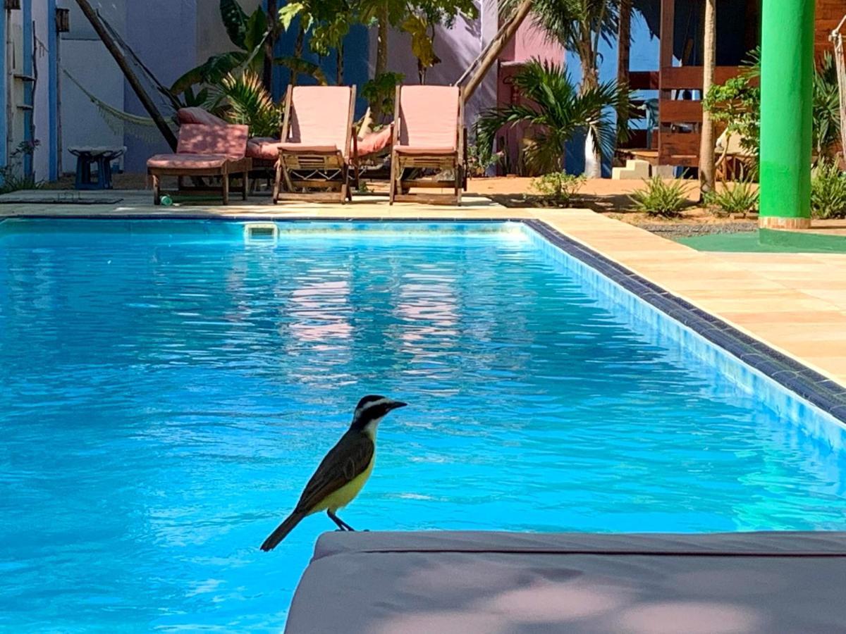 Pousada Janela Da Cor Jijoca de Jericoacoara Kültér fotó
